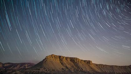 澳门新葡京：光影中的奢华与城市记忆